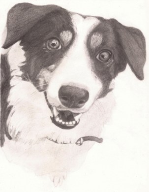 BeFunky_Lacey Portrait2