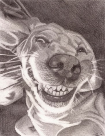 Elsie Drawing 2019 website one