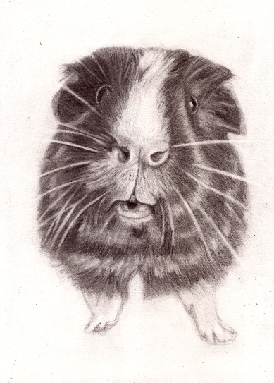 Oreos Portrait May 2020 website lighter2