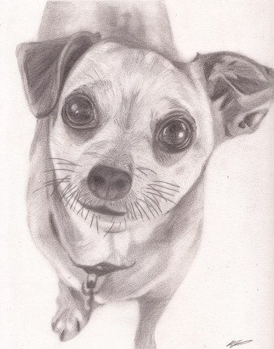 Tia Dog Portrait February 2021 crop